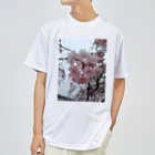 umejirouのさくら満開 Dry T-Shirt