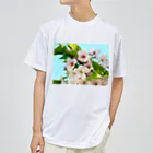 atelier_lapislazuliの桜 ドライTシャツ