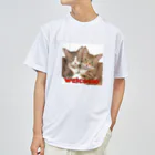 kk-welcomeの仲良しトラ猫兄弟 ドライTシャツ