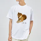 柴犬しばわんこhana873の伏せ？してる柴犬さん Dry T-Shirt