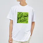 アトリエWindwingの苔グッズ（タマゴケ玉つき） Dry T-Shirt