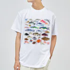 MUSEUM LAB SHOP MITの魚図鑑 Dry T-Shirt