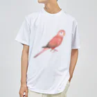 まめるりはことりのアキクサインコ　ピンク【まめるりはことり】 ドライTシャツ