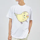 まめるりはことりの可愛いセキセイインコ　おすましちゃん【まめるりはことり】 ドライTシャツ