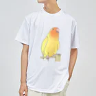 まめるりはことりの得意げ可愛い　コザクラインコちゃん【まめるりはことり】 ドライTシャツ