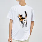 Riotoのねこけつω（三毛猫） ドライTシャツ