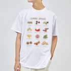 huroshikiのカレースパイス ドライTシャツ