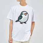 Cody the LovebirdのChubby Bird オキナインコ Dry T-Shirt