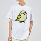 Cody the LovebirdのChubby Bird オキナインコ ドライTシャツ