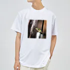 カエル屋の人間みたいなカエルくん3 Dry T-Shirt