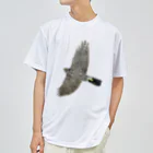 Coshi-Mild-Wildの🪶猛禽類　ツミ　🦅 だぞっ‼️ Dry T-Shirt