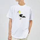 GREAT 7のアホウドリ ドライTシャツ