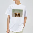 DOG FACEのパピヨン【わんデザイン 2月】 ドライTシャツ