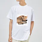 ChoboTora24の眠り猫ちゃん達 Dry T-Shirt