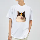 コンドーショップのシャトーブリアン猫 ドライTシャツ