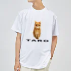 Moto@猫とバイクのVideologのおしゃれタロ ドライTシャツ