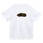 キジトラかもしれないのおねむ猫 Dry T-Shirt