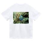 海の家のソライロイボウミウシ Phyllidia coelestis Dry T-Shirt