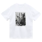 黒ニャンコのエイレーネーとヘスティア Dry T-Shirt