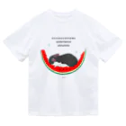 teruteQ chinchilla illustrator suzuri店のすやすや西瓜チンチラ Dry T-Shirt