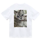 ねこの森でお散歩のフッワフワのシャムミックス Dry T-Shirt