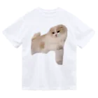 ふうまくんのお店のおねむなふうまくん Dry T-Shirt