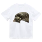 グレージュ猫ロッタン🐈‍⬛のロッタンのリラックスタイム Dry T-Shirt