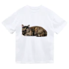 燕麦のﾑｽｯ Dry T-Shirt