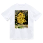 enjoy life shopの安曇野のイチョウの写真グッズ Dry T-Shirt