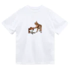 猫ミームグッズの【猫ミーム】叩かれる猫と叩く猫 Dry T-Shirt