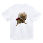 Ruice-Iceの犬　ガジガジ Dry T-Shirt