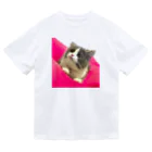 itsukiancoroのアイドルネコのアンちゃん Dry T-Shirt