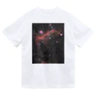 S204_Nanaのカモメ星雲 ドライTシャツ