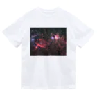 S204_Nanaのオリオン大星雲と馬頭星雲 Dry T-Shirt