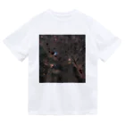 S204_NanaのNGC1539と分子雲 ドライTシャツ