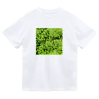 アトリエWindwingの苔グッズ（タマゴケ玉つき） Dry T-Shirt