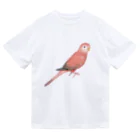 まめるりはことりのアキクサインコ　ピンク【まめるりはことり】 ドライTシャツ