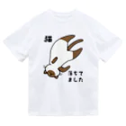 多喜のシャム猫落ちてました ドライTシャツ