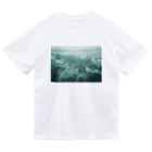 フォーヴァのバチカン市国1－taisteal－タシテル－ Dry T-Shirt