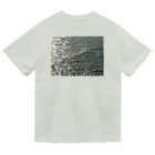 空屋　sorayakusakaの201410241247000 　海面は燻し銀 Dry T-Shirt