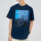 L_arctoaのイルカとクジラの違い ドライTシャツ