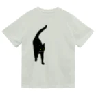 小鳥と映画館の黒猫が来る そして去る 右胸バージョン Dry T-Shirt