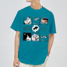 焦豆堂の七つの大罪（猫）カラー版 ドライTシャツ