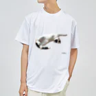 ララビビにゃんSHOPのどんな寝コ？ Dry T-Shirt