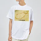 39Sのナス科の地上絵 ドライTシャツ