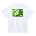 photo-kiokuの風に揺れる木 Dry T-Shirt