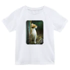 海賊猫 cocoのウクライナの猫 MurchikくんとNikotinくん♡ Cats ♡ Ukrainian cats #ウクライナ 本と猫 Donation Items Dry T-Shirt