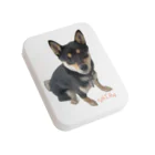 うたた寝の🐾豆柴BOY🐾 世界中で愛される柴犬　1歳 Flat Tin Case