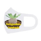 momoのPachypodium Densicaule Face Mask