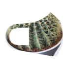 POJO  CACTUSの金鯱 グルソニー Face Mask